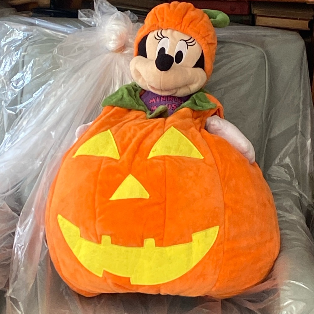 Pottery Barn Kids  Pumpkin Halloween Costume Orange, 4-6 years